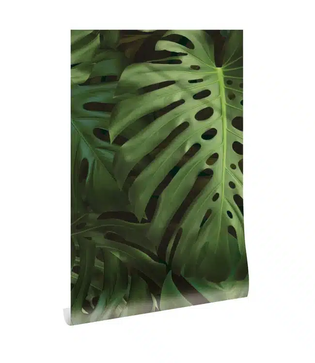 Duurzaam Behang | Monstera | 97.4 x 280 cm | Kek Amsterdam | Peltenburg Natuurverf - Afbeelding 7