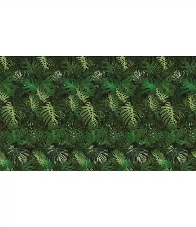 Duurzaam Behang | Monstera | 97.4 x 280 cm | Kek Amsterdam | Peltenburg Natuurverf - Afbeelding 6