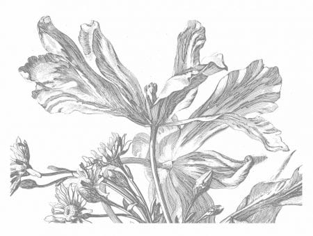 Duurzaam Fotobehang | Engraved Flowers | 389.6 x 280 cm | Kek Amsterdam | Peltenburg Natuurverf
