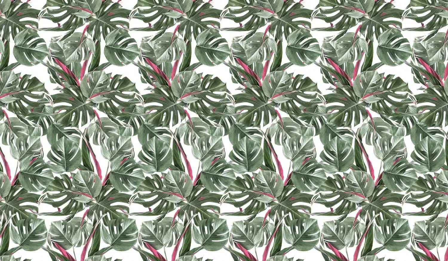 Duurzaam Behang | Monstera | Wit | 97.4 x 280 cm | Kek Amsterdam | Peltenburg Natuurverf - Afbeelding 4