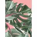 Duurzaam Behang | Monstera | Roze | 97.4 x 280 cm | Kek Amsterdam | Peltenburg Natuurverf