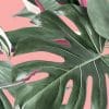 Duurzaam Behang | Monstera | Roze | 97.4 x 280 cm | Kek Amsterdam | Peltenburg Natuurverf - Afbeelding 4