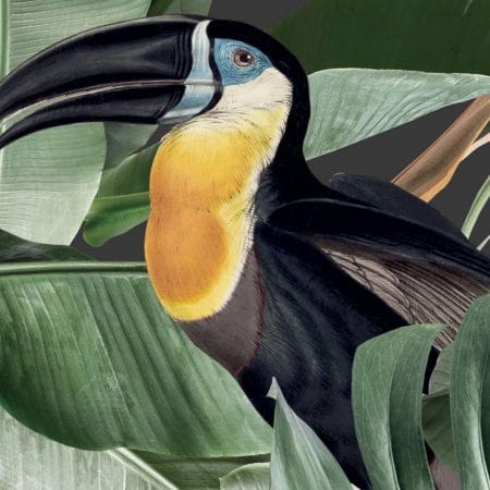Duurzaam Behang | Botanical Birdss | Zwart | 97.4 x 280 cm | Kek Amsterdam | Peltenburg Natuurverf
