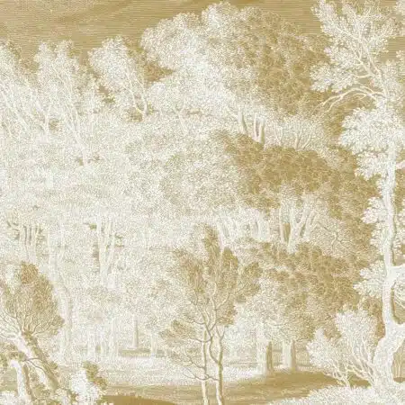 Engraved Landscapes
