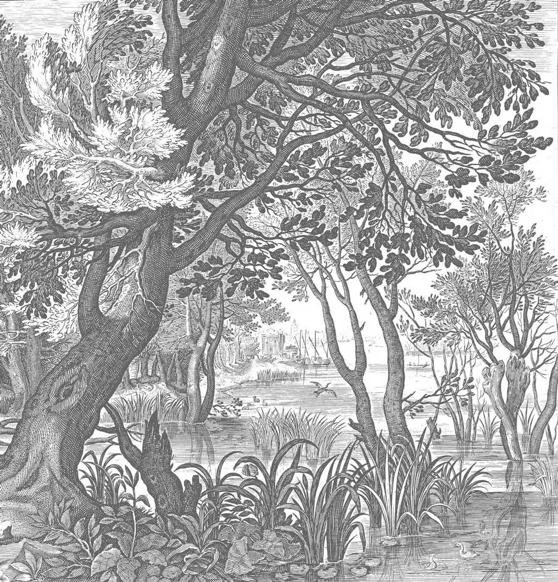 Duurzaam Fotobehang | Engraved Landscapes | Getekend III | Kek Amsterdam | Peltenburg Natuurverf - Afbeelding 4