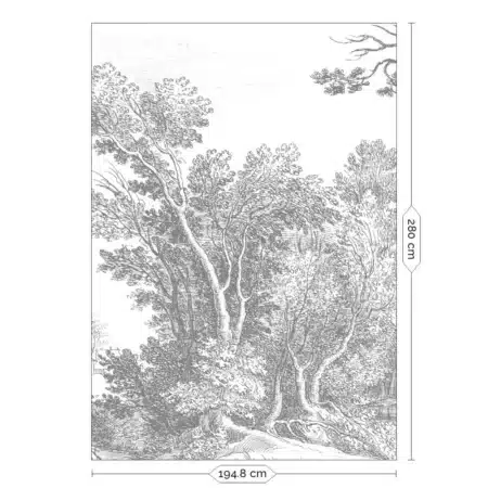 Duurzaam Fotobehang | Engraved Landscapes | RAL 9010 II | Kek Amsterdam | Peltenburg Natuurverf