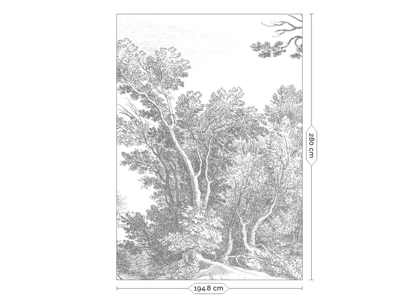 Duurzaam Fotobehang | Engraved Landscapes | RAL 9010 II | Kek Amsterdam | Peltenburg Natuurverf