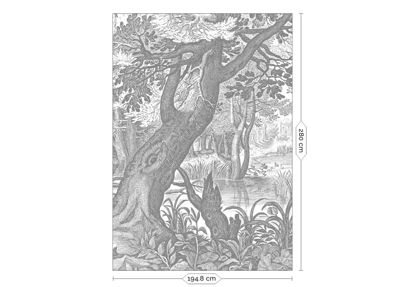 Duurzaam Fotobehang | Engraved Landscapes | Getekend III | Kek Amsterdam | Peltenburg Natuurverf - Afbeelding 2