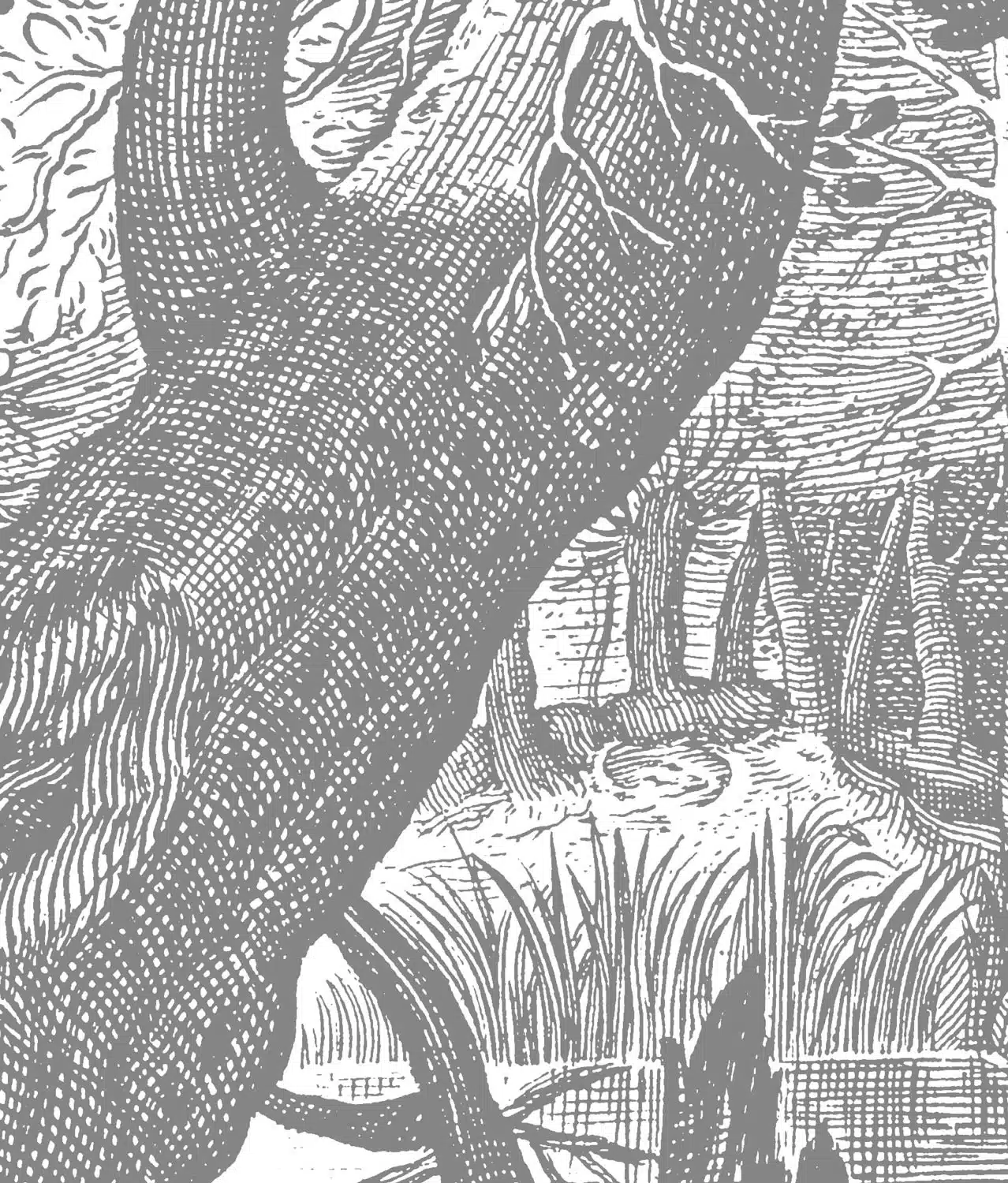 Duurzaam Fotobehang | Engraved Landscapes | Getekend III | Kek Amsterdam | Peltenburg Natuurverf - Afbeelding 3