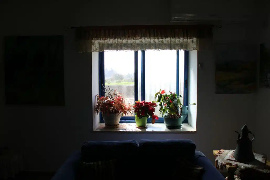 razi abramovich yswUPxTOqeQ unsplash